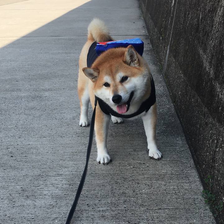 5a7c246e 6542 4a02 84f9 f9980ad6981d 1572499846319