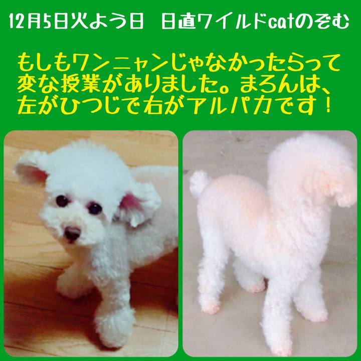 5a7c2e2e e79c 4640 a197 7a2c8691cb25 1512472476387