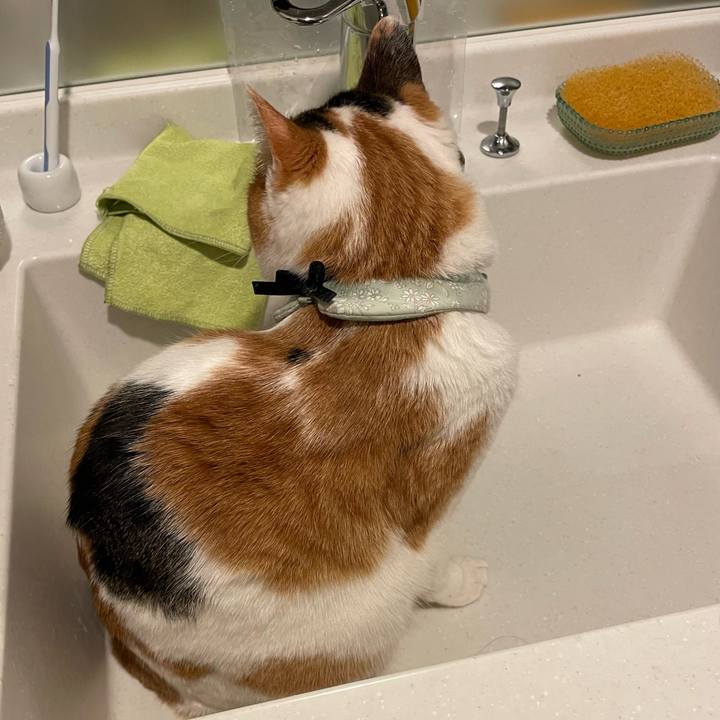 5a7c599f 4dda 4ad1 a523 b10af5e1d335 1673272261243