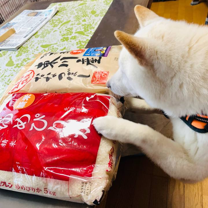 5a7c728d fede 42c6 92ca c64e8ebc303e 1638835338986