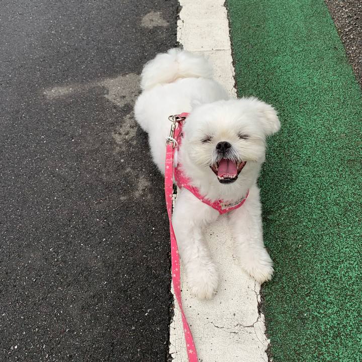 5a7cc11a e88c 41df 884f 3fe9a2ccf8e4 1657837570408