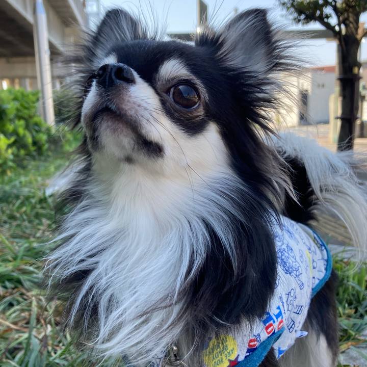 5a7d742b f09a 4e5f 87bf 95976bd84f33 1618113541200