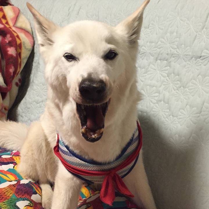 5a7d91da 7e8d 4268 b598 a450f5edef0d 1513165260953