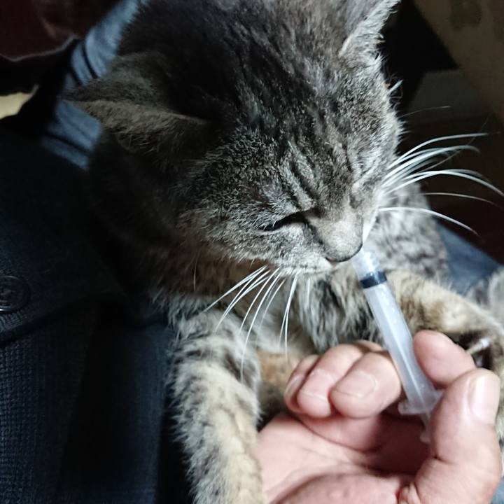 5a7d9db4 638d 48b5 9f3d 46b307da3317 1578346670458