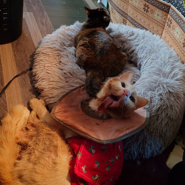 5a7db223 af47 4752 a3e3 0d0cbf47e627 1766842552237