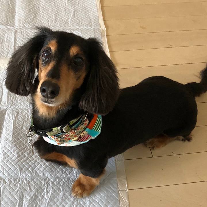 5a7dd3be 85d3 4c18 8295 35231eb9fe5b 1559519430318