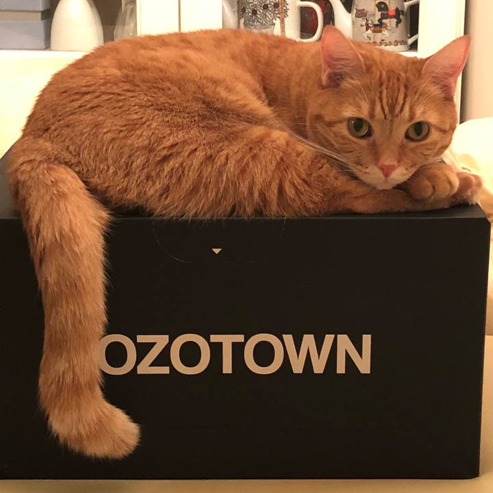 5a7dd72f cabb 4eb1 b079 1c501f98836b 1512102766952