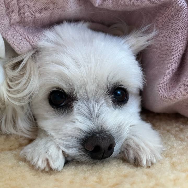 5a7df40c 97a0 4caa 9d56 8919083f58c2 1666827715816