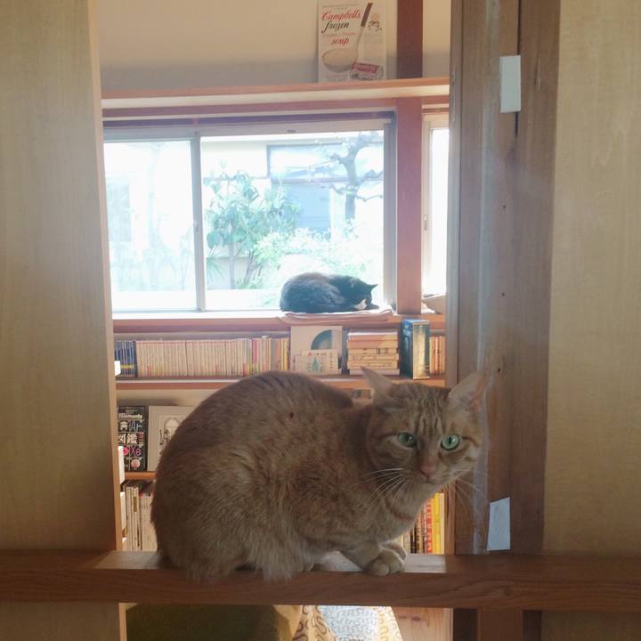 5a7e402f ee7a 4483 9929 2aa970ffb545 1522541151099