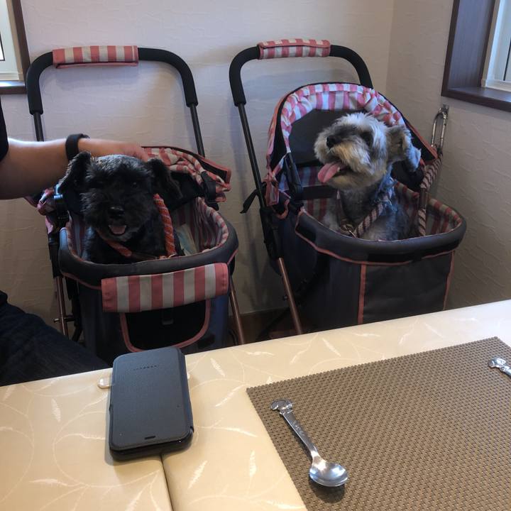 5a7e53ee 9f0b 4c52 8aee e121de0fef16 1561108781419