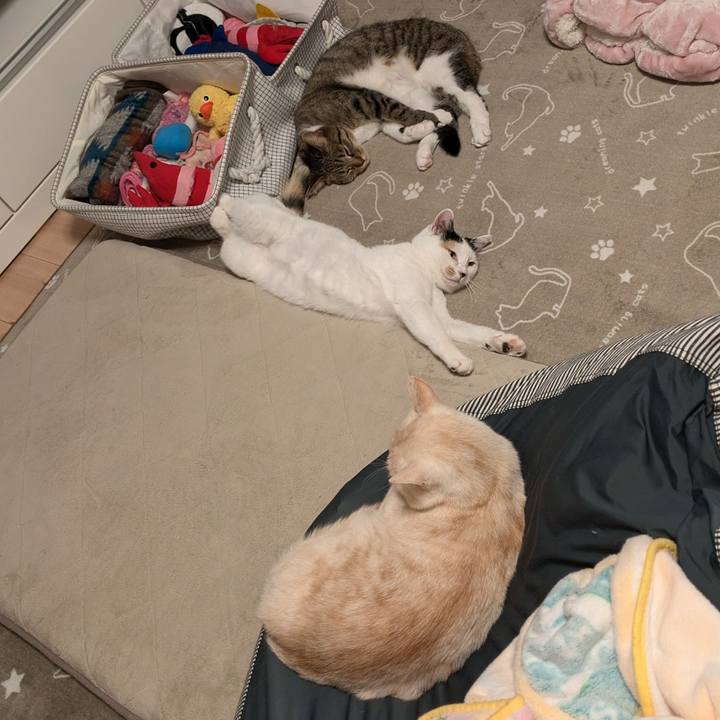 5a7e71b1 3d9c 43c4 98f7 9f52709b0a8c 1729596298313