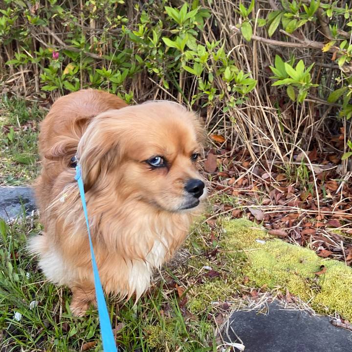 5a7e7389 0727 4a06 bf36 55b8e9ee6036 1586208313751