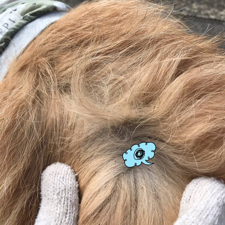 5a7ea39f ae88 486f b9f5 083adcbb2394 1551765026718