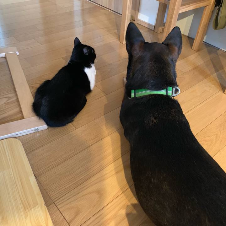 5a7eb523 9ca9 44ee 9ab6 0fc022e0f288 1548976501980