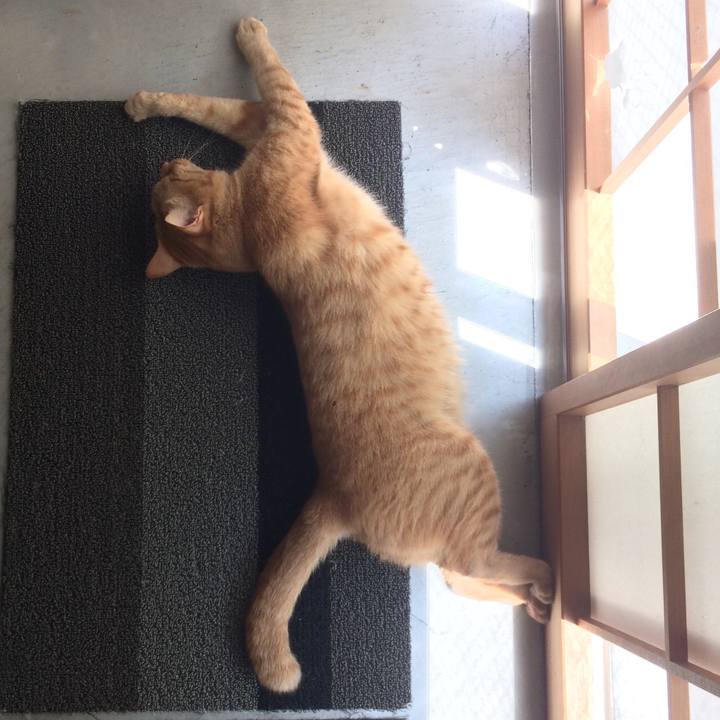 5a7ec028 2c3c 4bc8 9dbe 6a566f9538a2 1532438903603