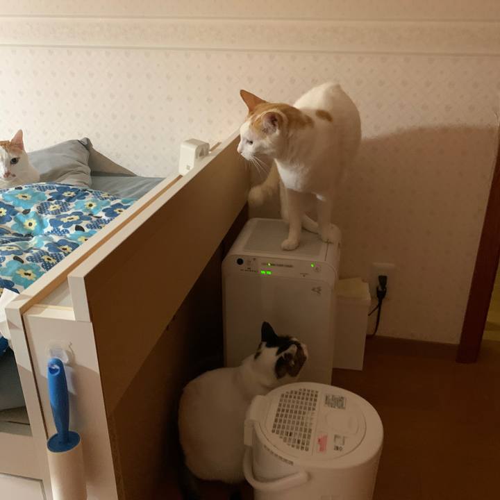 5a7ec2b6 043c 498d 913c e83c1c501810 1668888960881