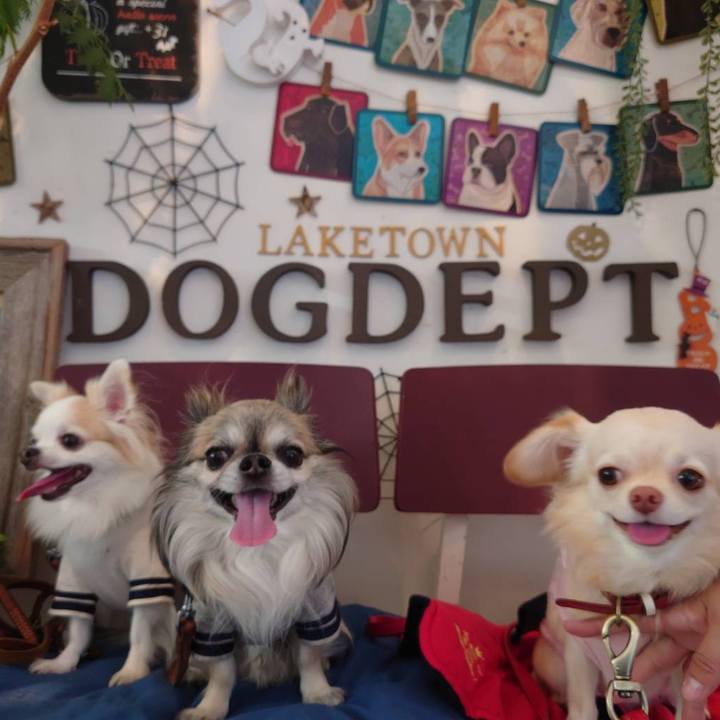 5a7eca60 9bc4 4125 8b6f 07053fcac4af 1634020683763