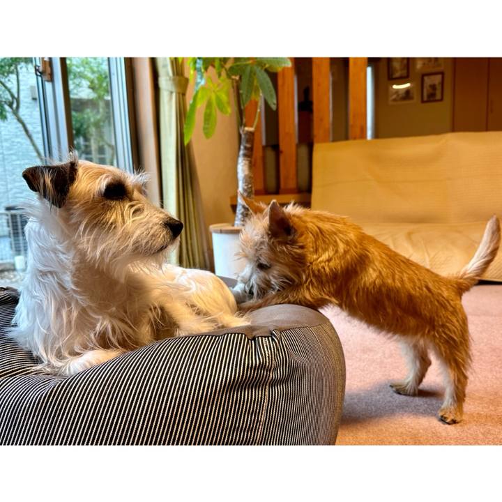 5a7ed8ed 5d6c 41a4 b67f be38c3250dad 1707111614996