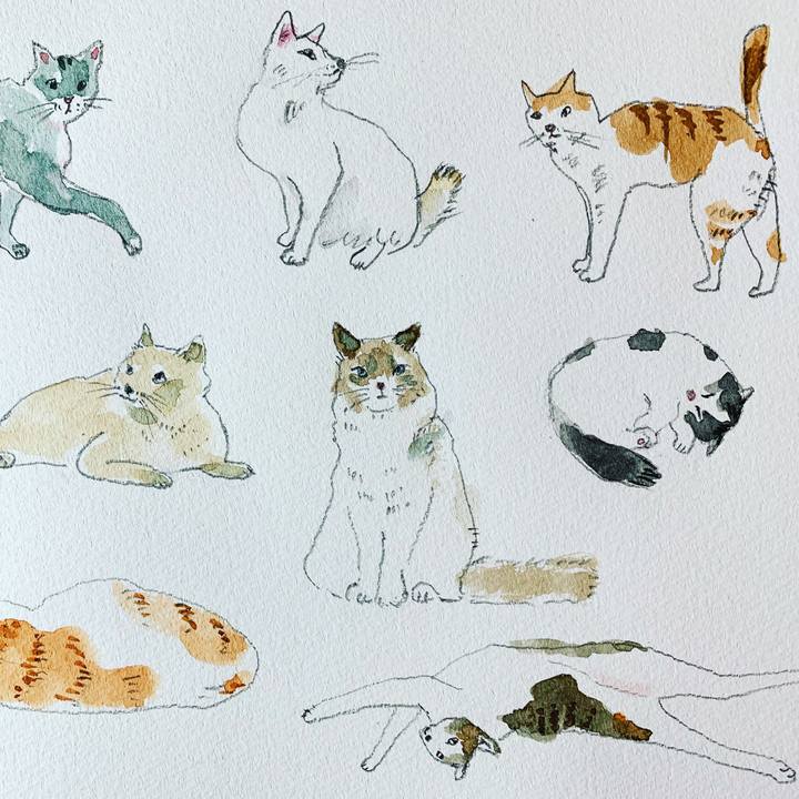 5a7ede8f 0b55 42a3 9409 28b44f3d7c24 1582194087605