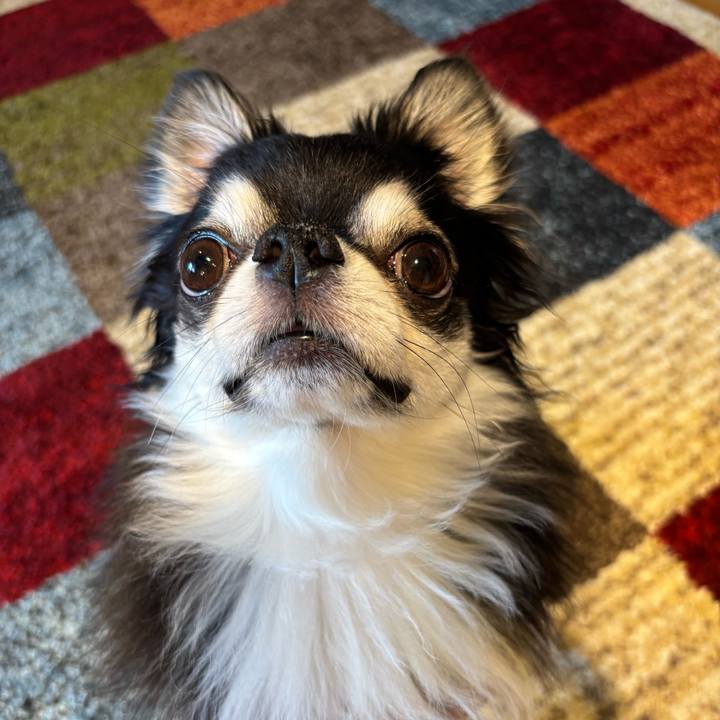 5a7ef9e4 d339 4718 aafd 770f04a72cc6 1746895218123