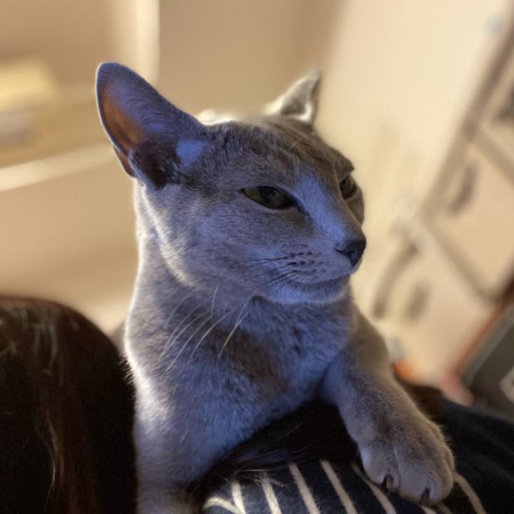 5a7f11d6 63a4 4d21 96b4 b59c241054d3 1636102929285