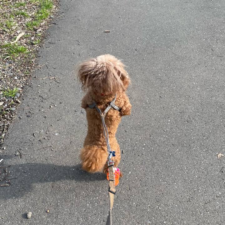 5a7f1267 e1b8 4d16 8039 6b243dcd1063 1745849276767