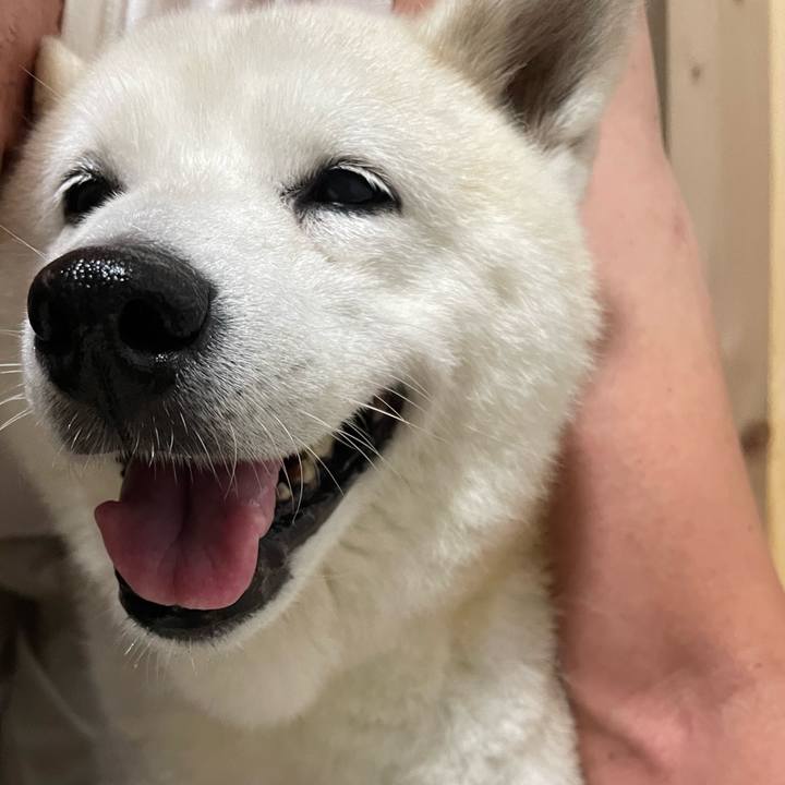 5a7f2733 2dbe 4330 b293 78e94db6dbb9 1662982635331