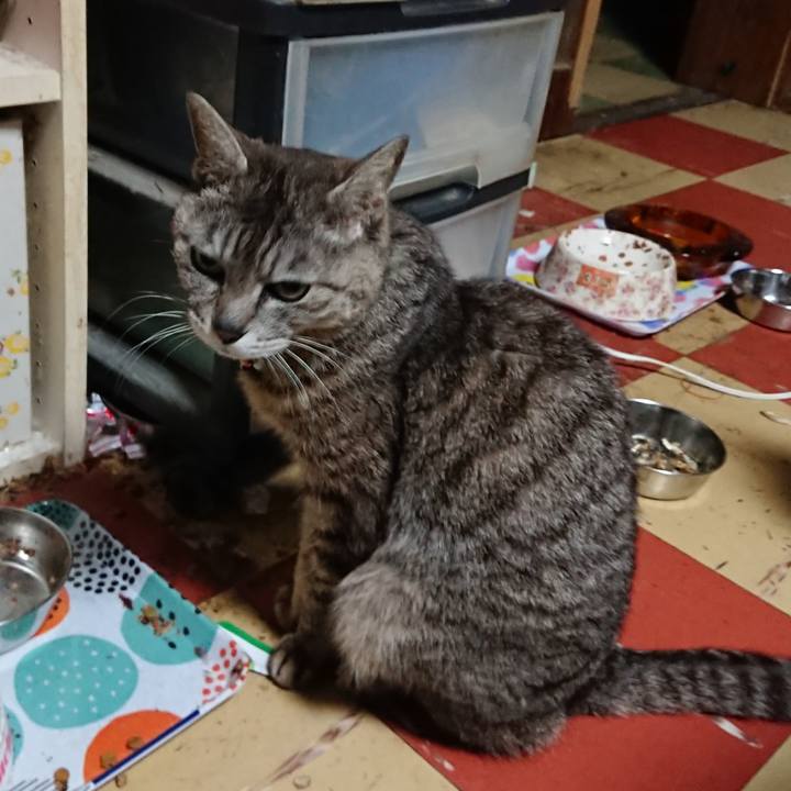 5a7f363b 994b 4276 a348 0911307e2924 1561404394922