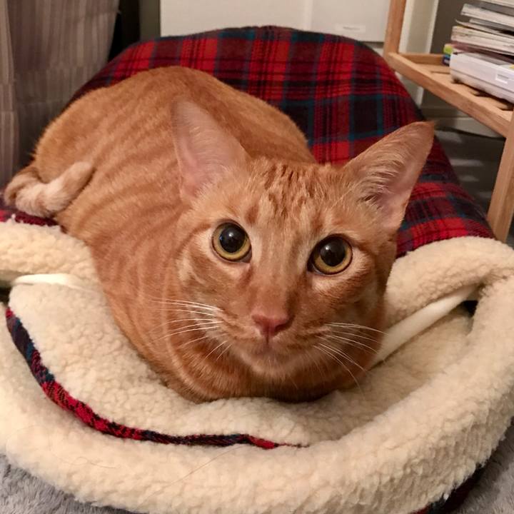 5a7f46c4 de79 4df3 8413 8c5a004ac04e 1605528710092