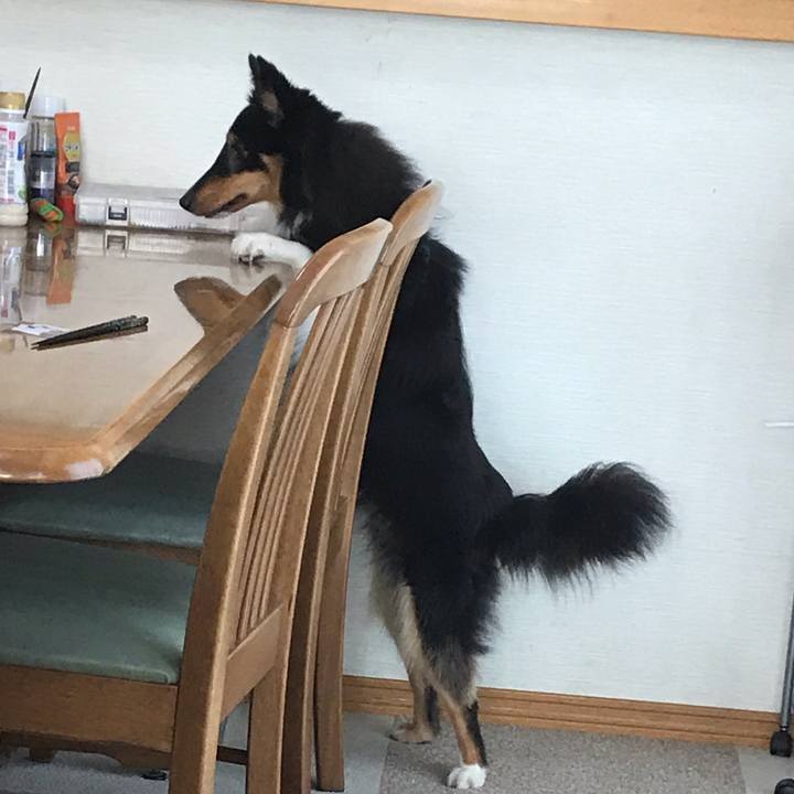 5a7f4862 cf1a 4d18 8446 c49b1dbf393e 1539986373414