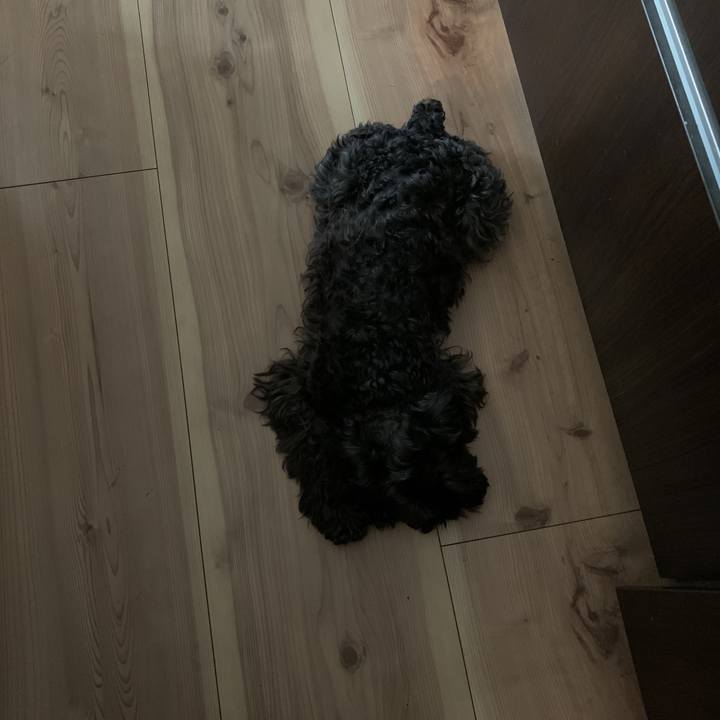 5a7f5976 ed5a 47fa a9e3 b8eb1ff8d954 1591419754520