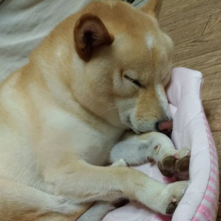 5a7f6904 a611 47dc 95c6 c792726f79dc 1600513352913