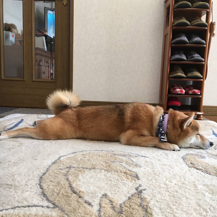 5a7f6b03 3d40 4485 94ff 48f34c0113dc 1516666847335