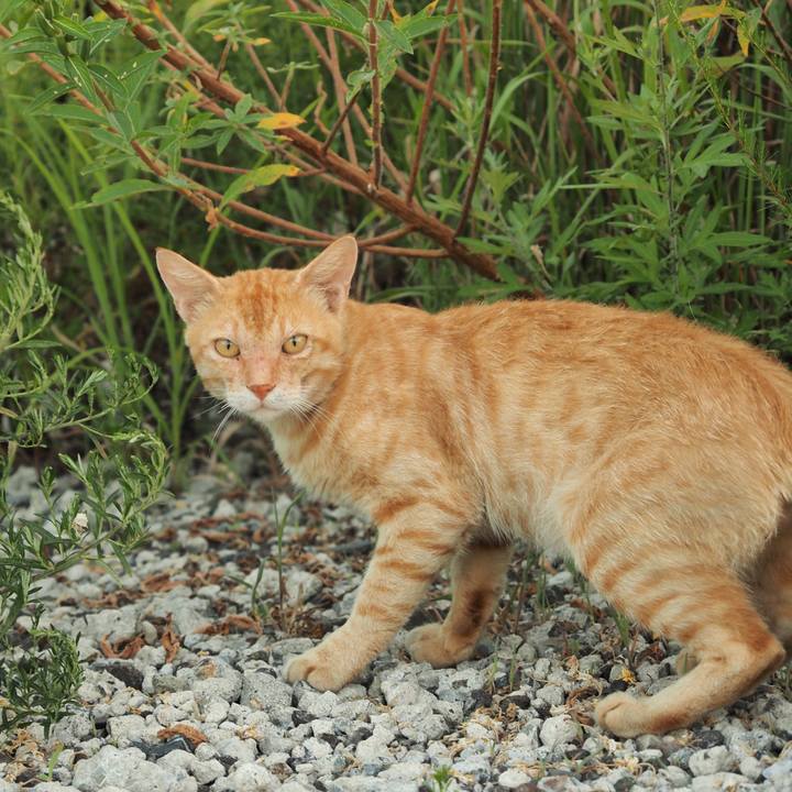 5a7fa196 2aba 46fa af4c 3801528deedc 1597924233361