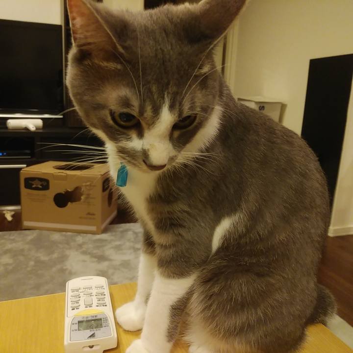 5a7fd412 ba77 409c 81f4 35a9507599bc 1592229171176