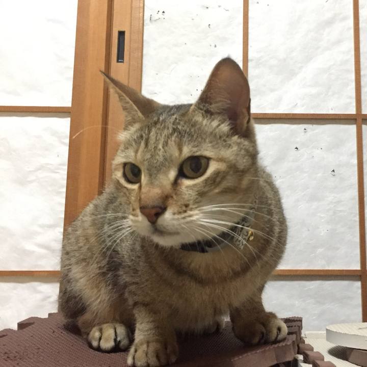 5a7fd60c 32c5 43c8 b9a9 34e11dc61b69 1563227722215