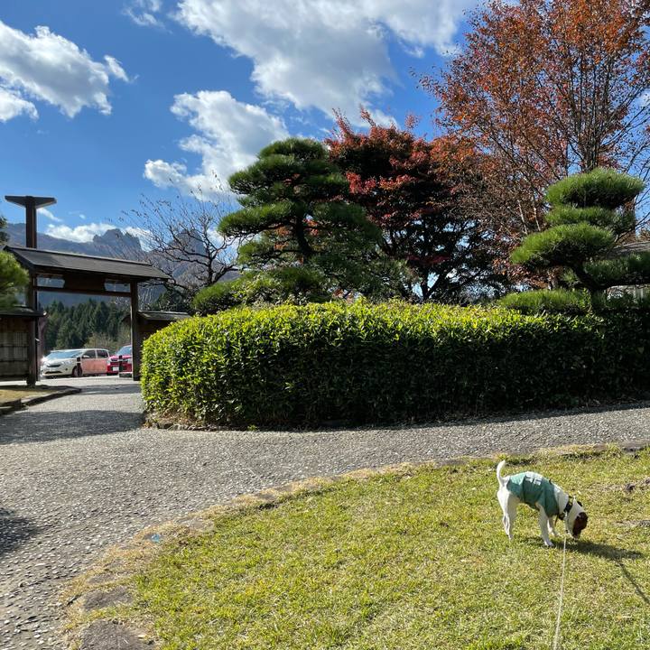 5a7fe0ac 43e1 4818 a450 662cb52a53d3 1636082100281