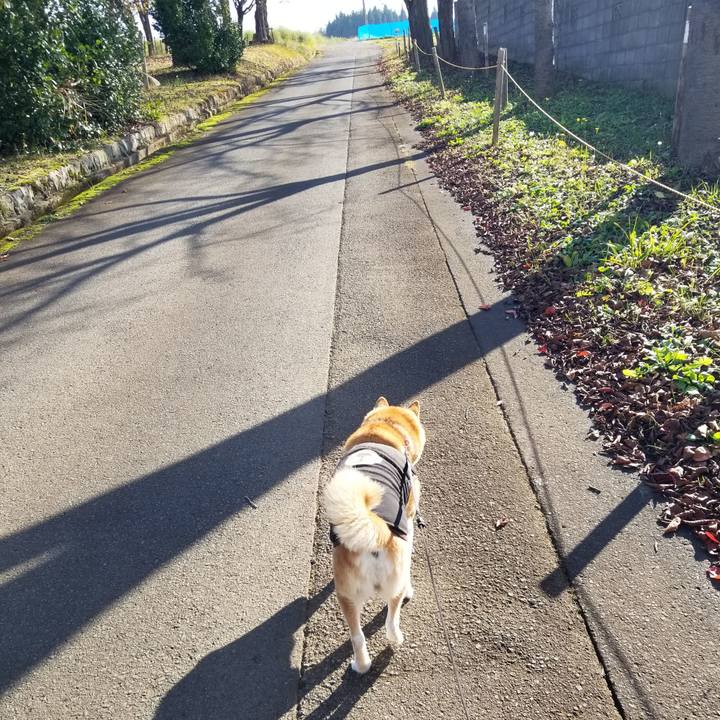 5a7fea49 32dd 4d64 8df0 95b3ee5aee4a 1731386294357