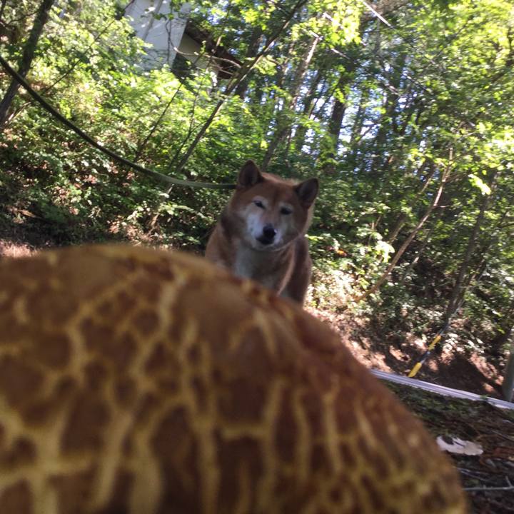 5a804b65 6534 4607 8fb9 f2d738a305bc 1565337908697