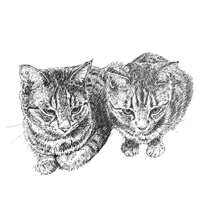 5a8062f5 608e 4fc5 8632 10004b1b971c 1594901140235