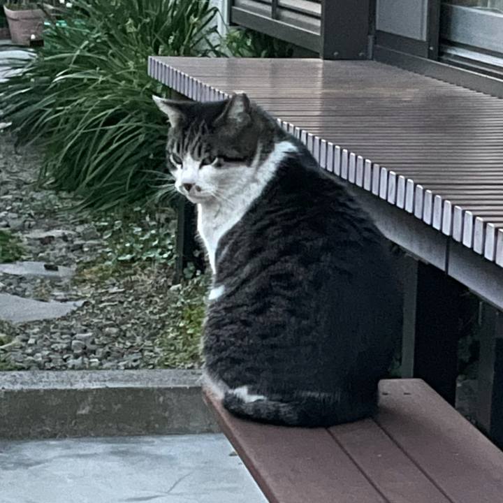 5a80915e 08ad 4ba8 9a7f a3a71cfa3145 1615367137463