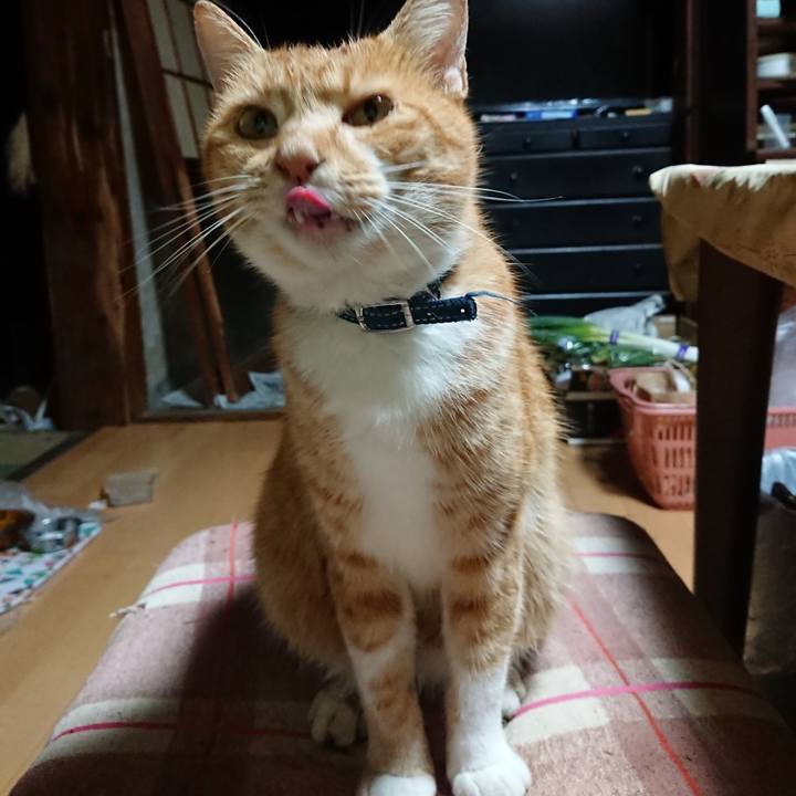 5a809b3f b005 4efc 88c8 dedcdfecb50c 1602101551476