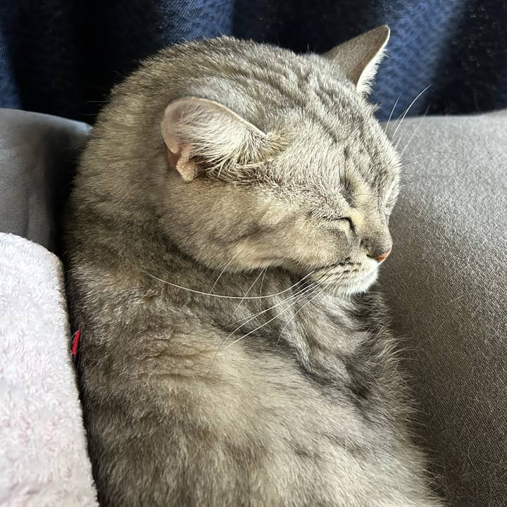 5a80dd86 bd28 43dd a6bf 7c5ac4aff44f 1687777334700