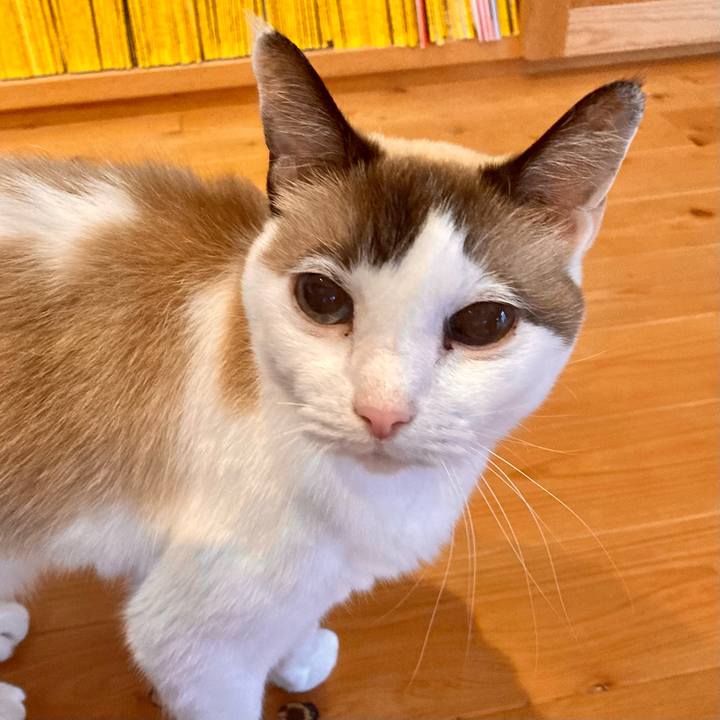 5a80e237 a789 4b53 a8ae de4cf30df059 1668900886279