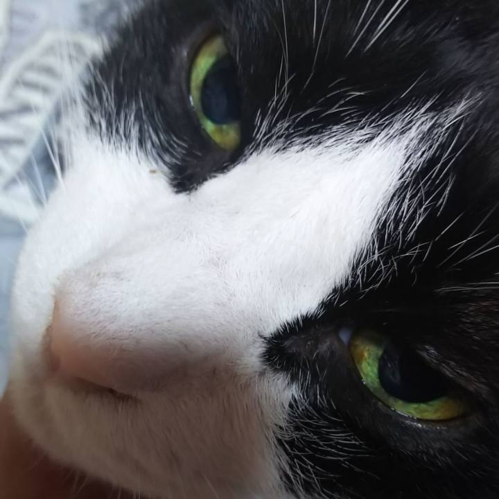 5a810a12 06bc 425e abb1 1a9a4989904f 1574489202050