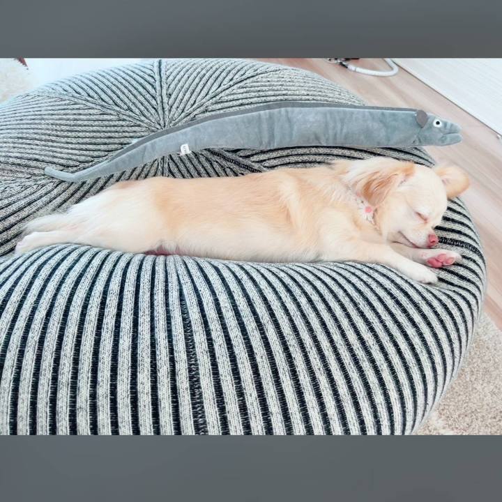 5a8113c6 30be 4d52 8bb4 4dae0c3418bf 1692881238470