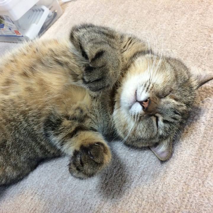 5a8184df 46dd 494f b15a 99a97406c1df 1573863630037