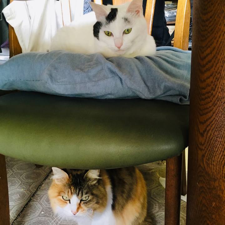 5a81b958 2870 48c5 937d 82c576056eb0 1557956756585