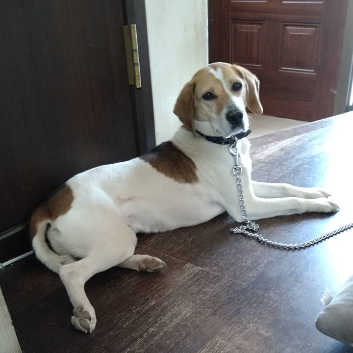 5a81e31f 7223 48dd bcaf e751d4b51b81 1618985737800