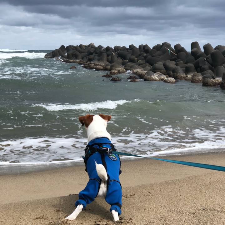 5a81f0da ae3b 48f0 a9f9 d161af8827a3 1647748582858